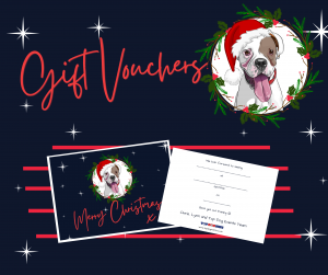 xmas gift voucher