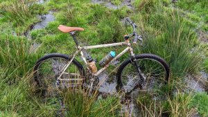 steves bike in bog 